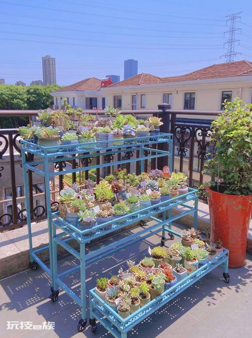 花架尺寸标准尺寸图片-图片2